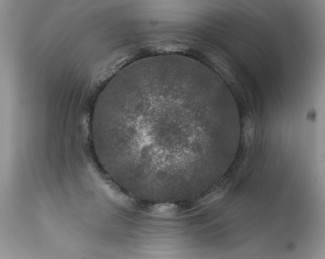 X0000111790410200907301150