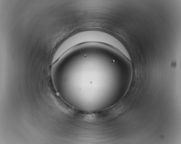 X0000111790411200907301150