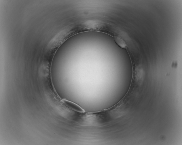 X0000111790413200907301150