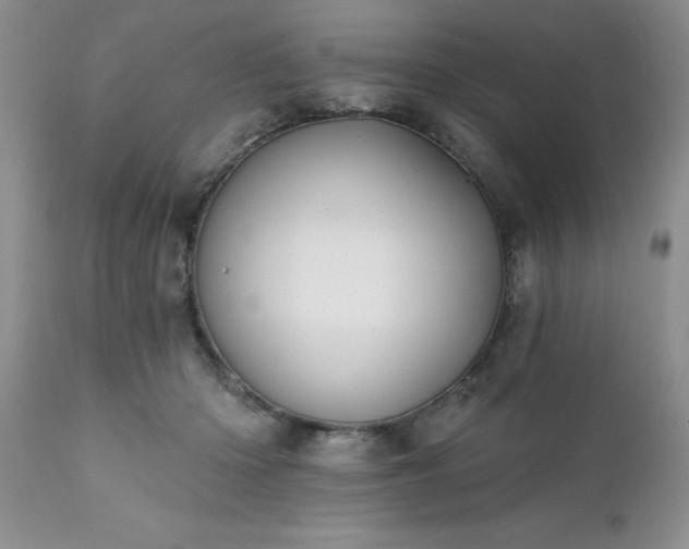 X0000111790414200907301150