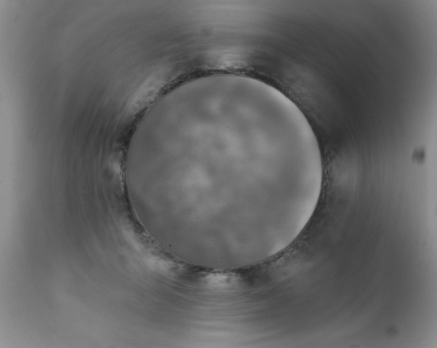 X0000111790415200907301150