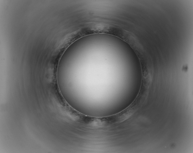 X0000111790416200907301150