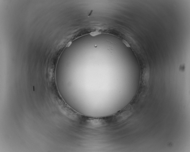 X0000111790417200907301150