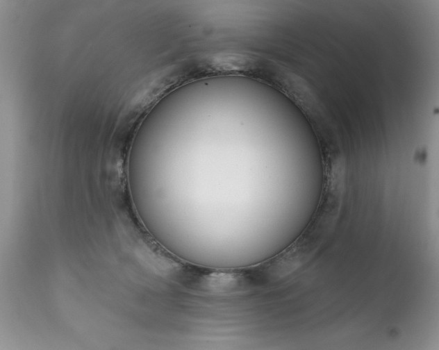 X0000111790418200907301150