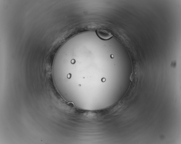 X0000111790419200907301150