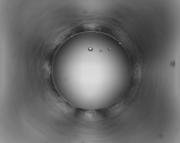 X0000111790420200907301150