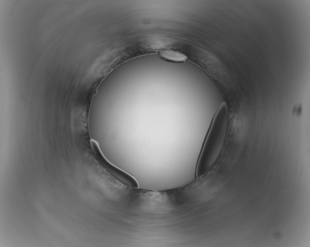 X0000111790421200907301150