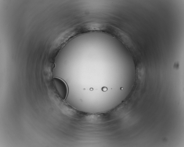 X0000111790422200907301150