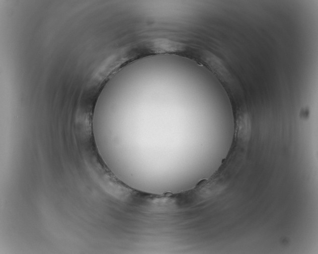 X0000111790426200907301149