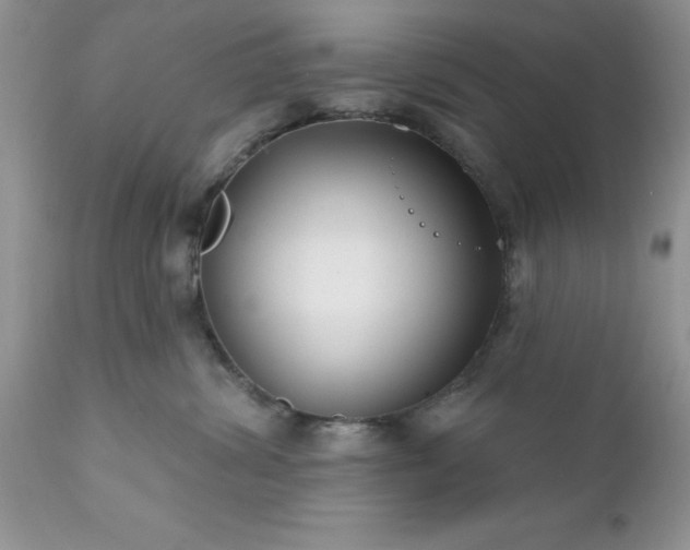 X0000111790428200907301149