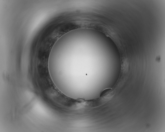 X0000111790430200907301149