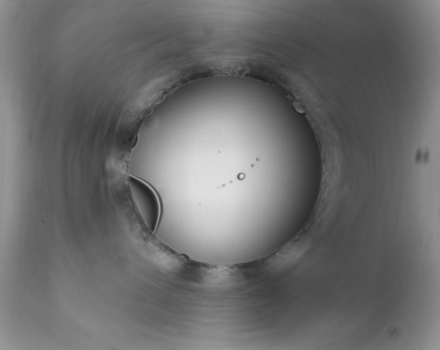 X0000111790432200907301149