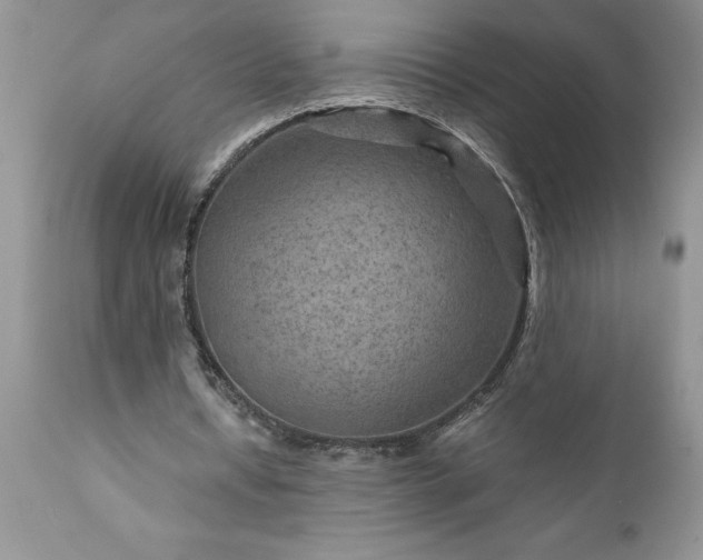 X0000111790434200907301149