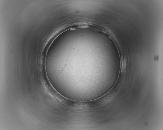 X0000111790435200907301149