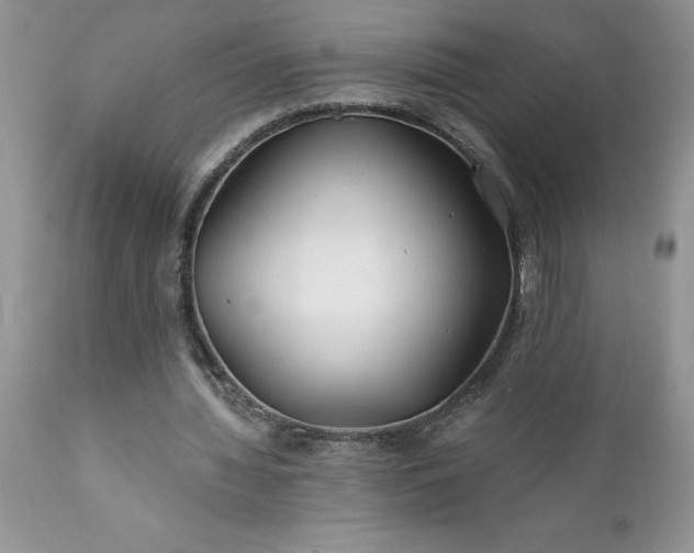 X0000111790436200907301149