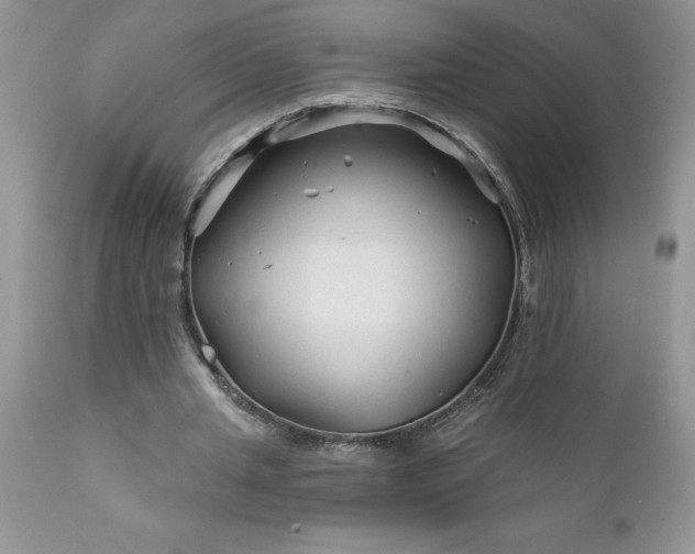 X0000111790437200907301149