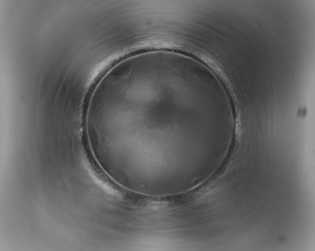 X0000111790438200907301149