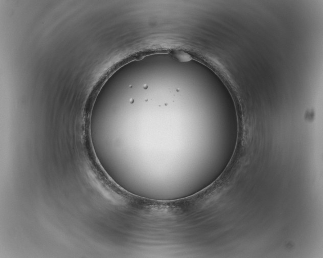 X0000111790439200907301149