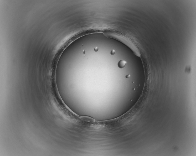 X0000111790440200907301149