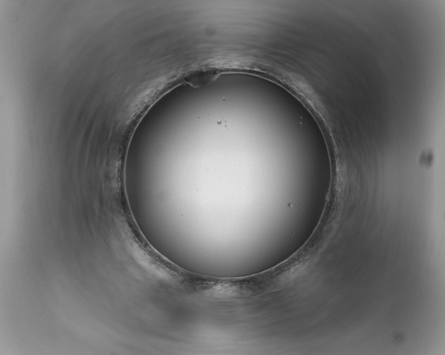 X0000111790441200907301149