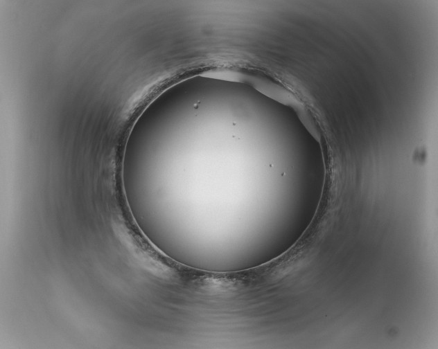 X0000111790442200907301149