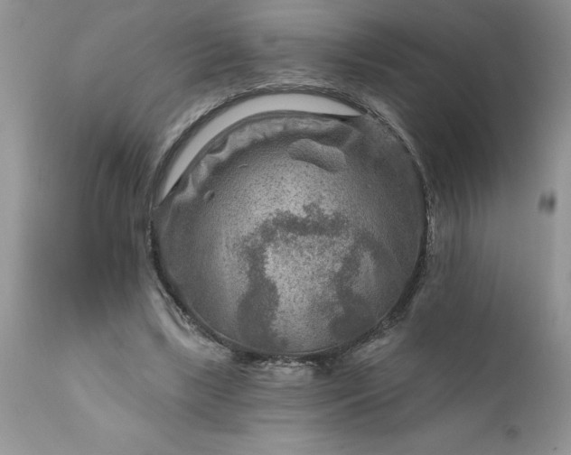 X0000111790443200907301149