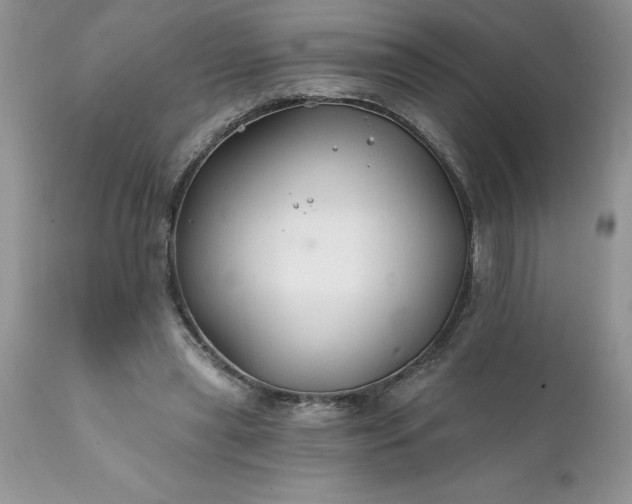 X0000111790445200907301149