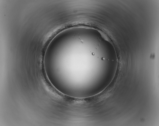 X0000111790446200907301149