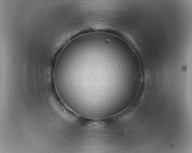 X0000111790447200907301149