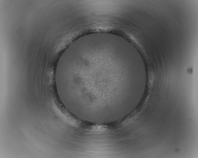 X0000111790451200907301149