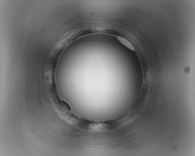 X0000111790452200907301149