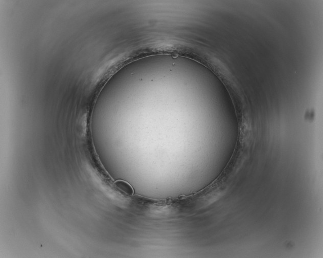 X0000111790454200907301149