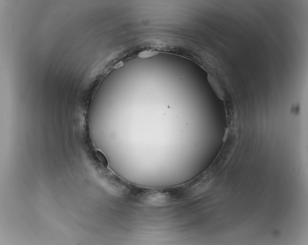 X0000111790456200907301149