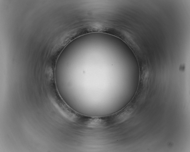 X0000111790459200907301149