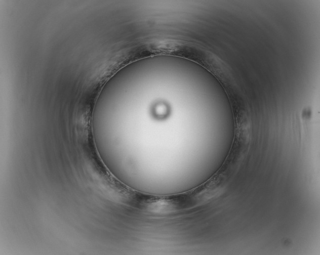 X0000111790460200907301149