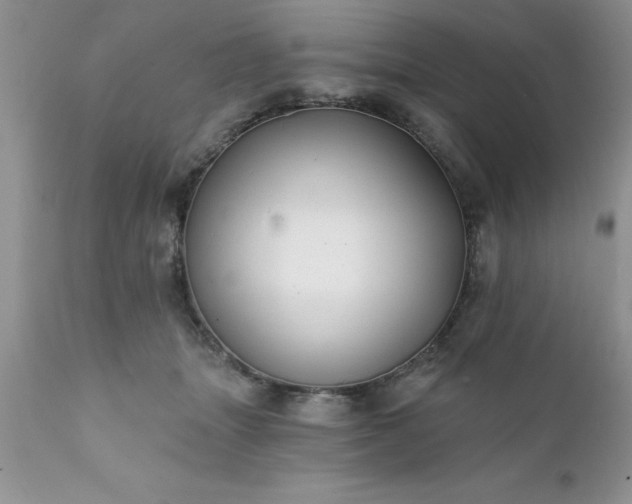 X0000111790463200907301149