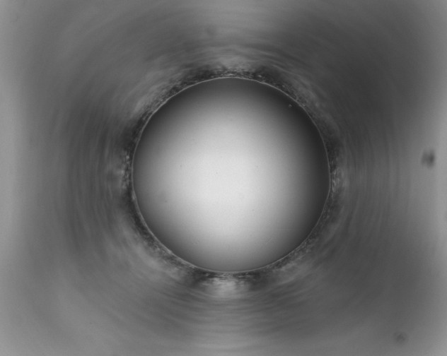 X0000111790464200907301149