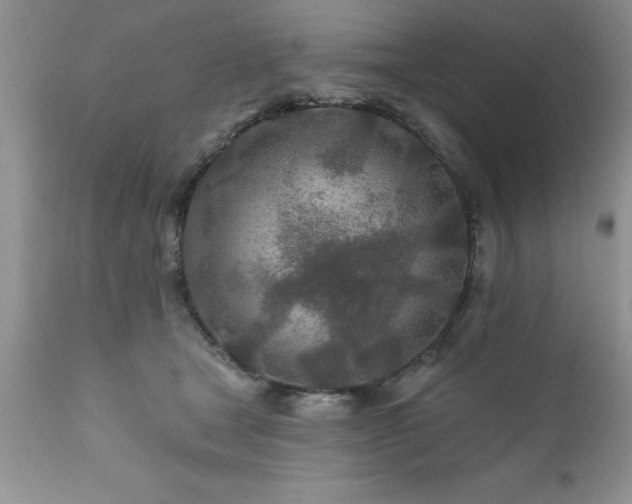 X0000111790465200907301149