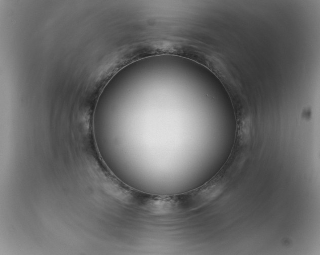 X0000111790466200907301149