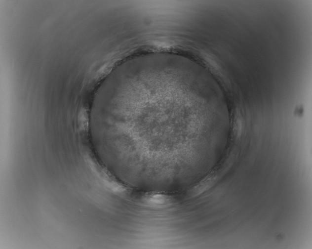 X0000111790467200907301149