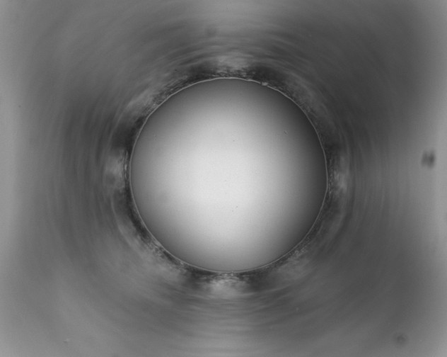 X0000111790468200907301149