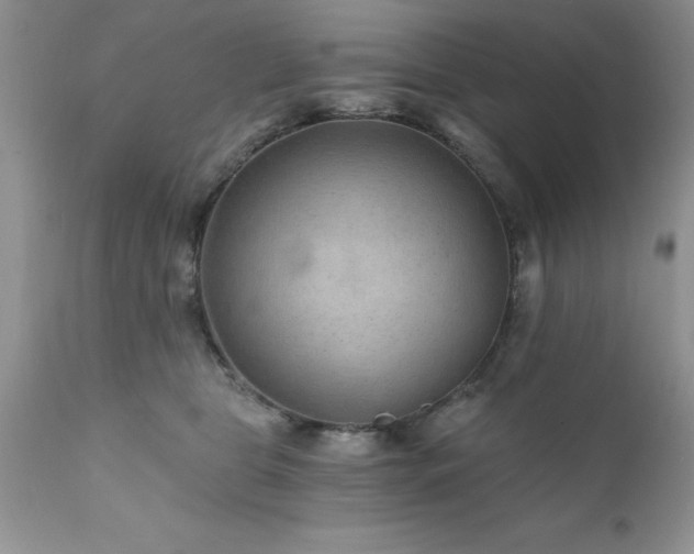 X0000111790469200907301149