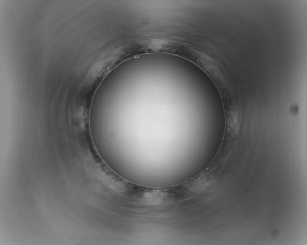 X0000111790470200907301149