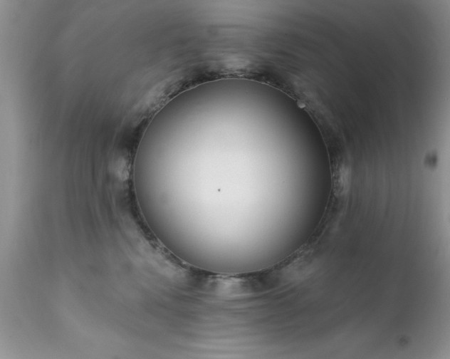 X0000111790472200907301149