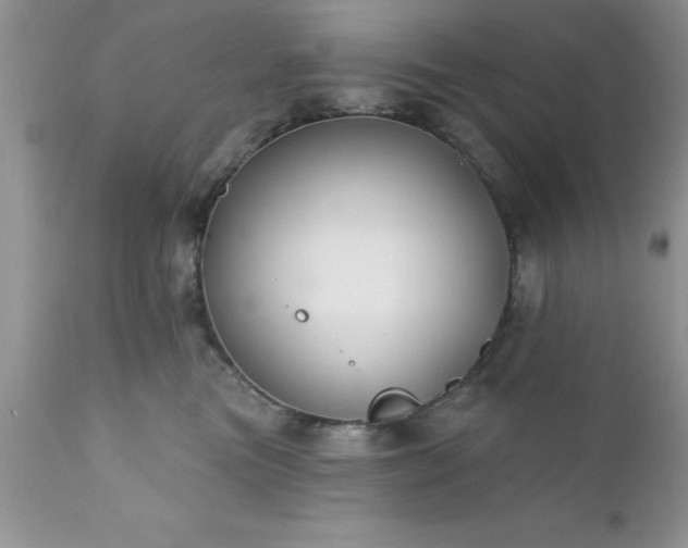 X0000111790473200907301149