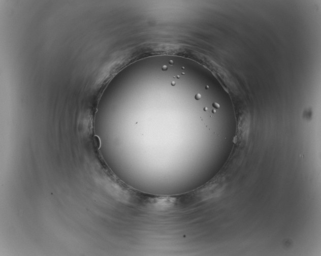 X0000111790474200907301149