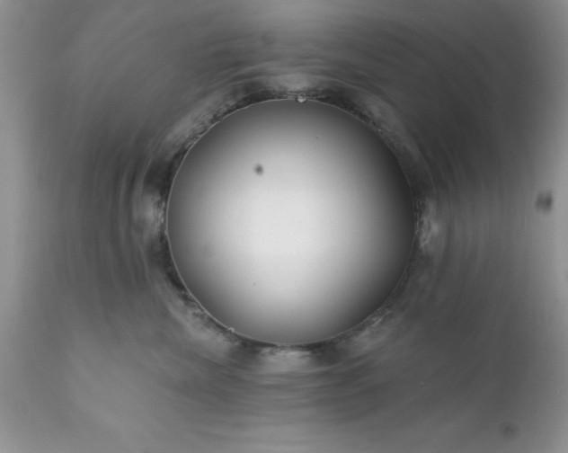 X0000111790476200907301149