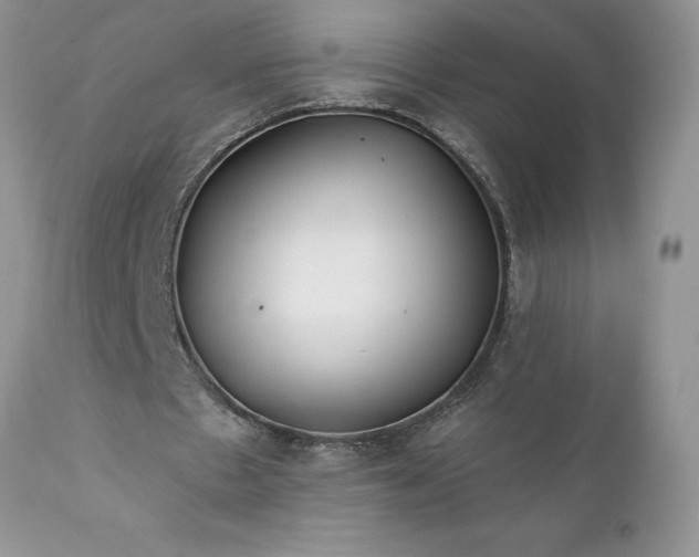 X0000111790481200907301149