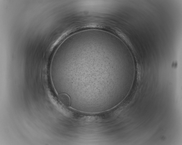 X0000111790482200907301149