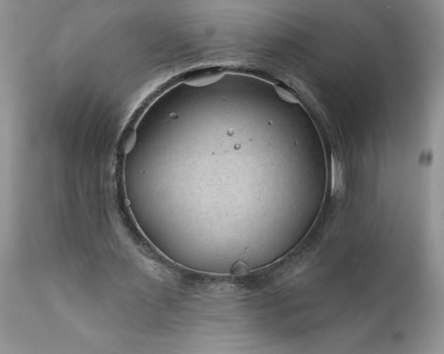 X0000111790483200907301149